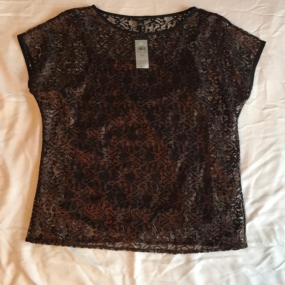 NWT Ann Taylor Bronze Lace & Black Cami, S.Petite - Picture 4 of 8